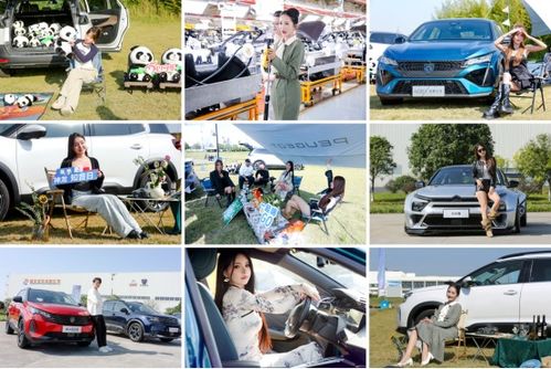 真诚，才是汽车消费的“必杀技”——从神龙汽车双十一活动谈起